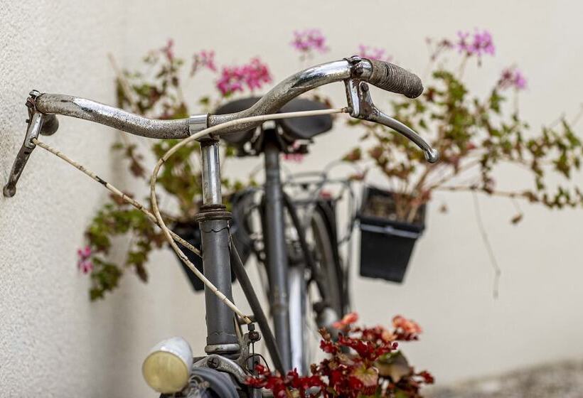 פנסיון Chambres D Hôtes Au Chat Verrier, Espace Bien être