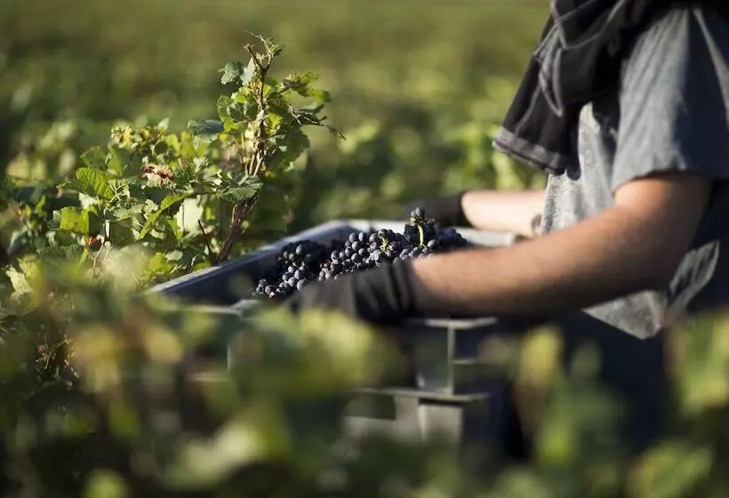 Majatalo Domaine Gille