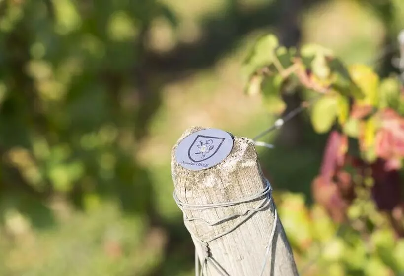 Majatalo Domaine Gille