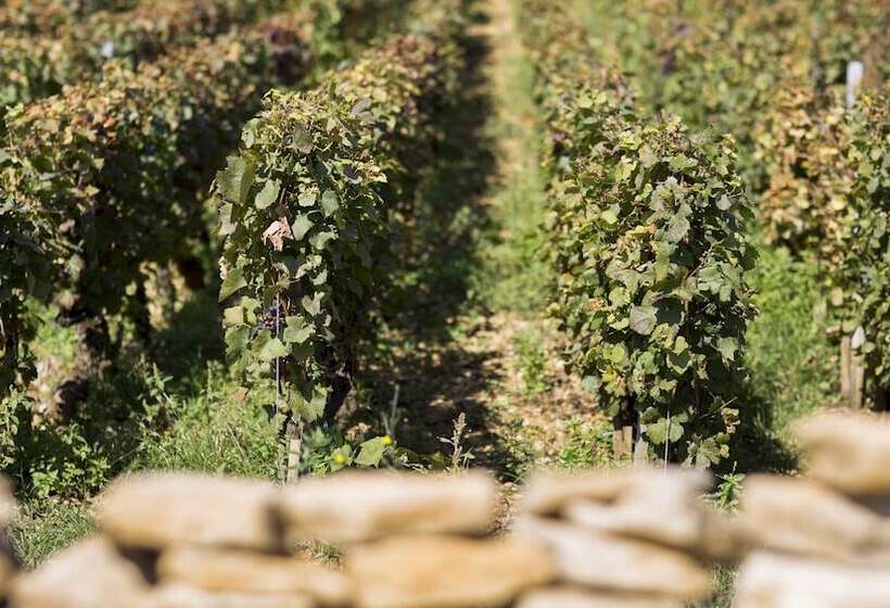 פנסיון Domaine Gille