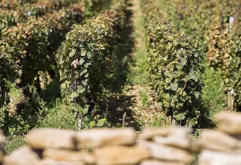 Majatalo Domaine Gille