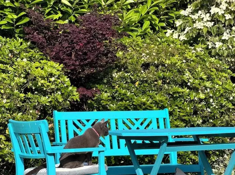 Pensionat Halekulani Devon