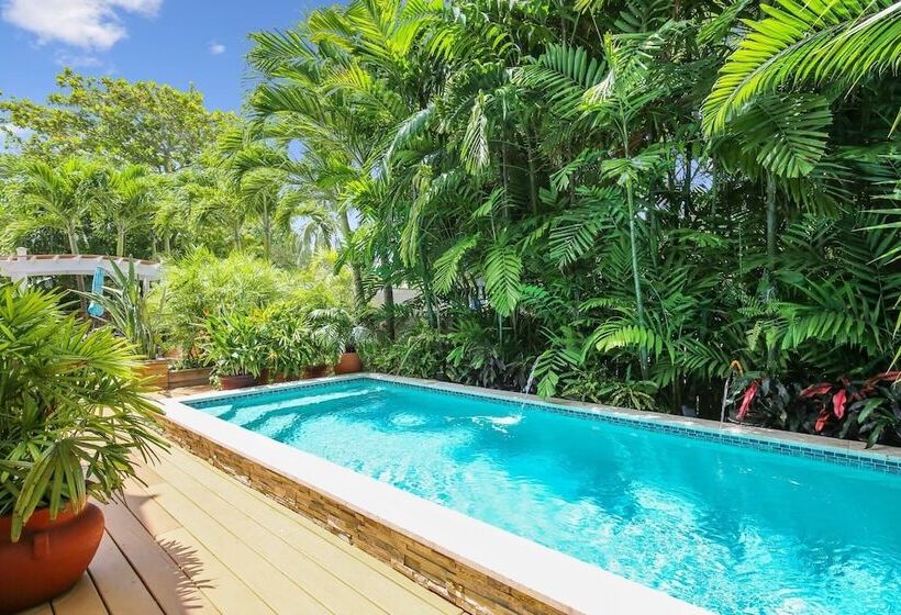 Serenity By Avantstay Guest House In Old Town W/ Shared Pool Month Long Stays Only