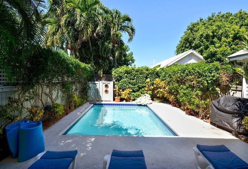 Tropical Dreaming By Avantstay 4 Blks To Beach! Private Pool!