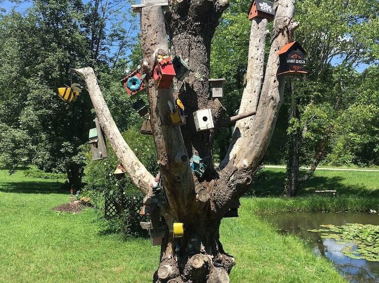 민박 Misty Mountain Inn