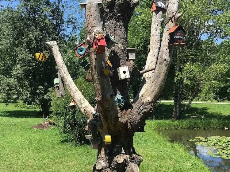 Aamiaismajoitus (B&B) Misty Mountain Inn