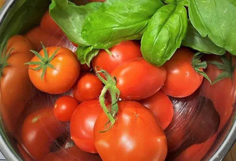 Aamiaismajoitus (B&B) Privelacker Paradiesgarten