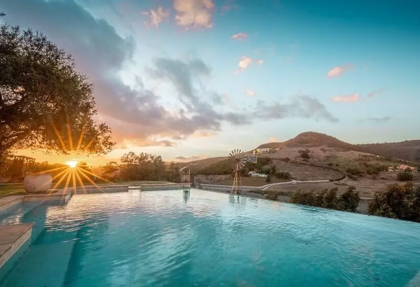 Casa Del Arbol By Avantstay Stunning California Estate With Incredible Views