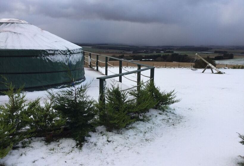 Green Yurt With Hot Tub   Sleeps 3, Parking & Wifi