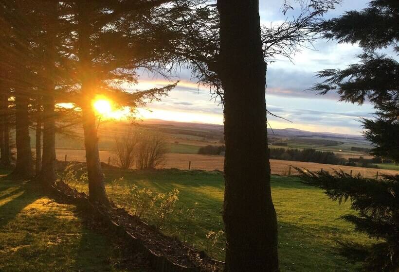Green Yurt With Hot Tub   Sleeps 3, Parking & Wifi