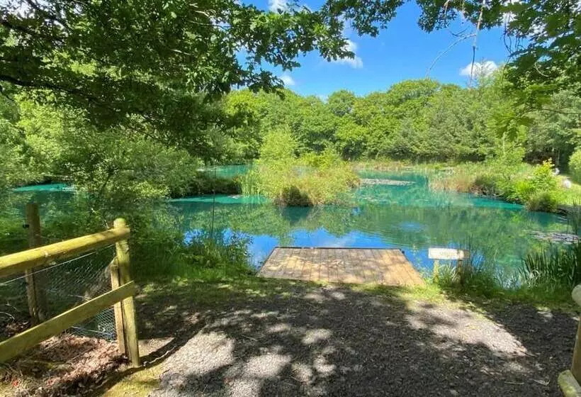 Hotelli Converted French Bus With Stunning Views