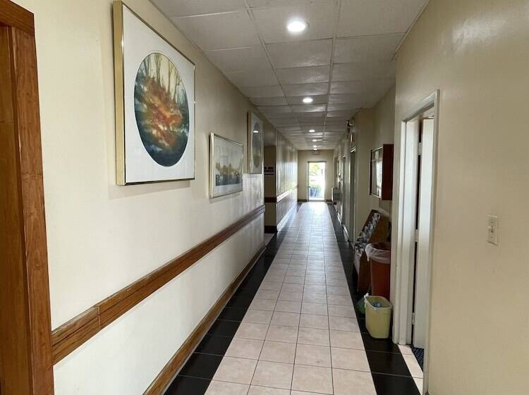 Отель Deluxe Studios