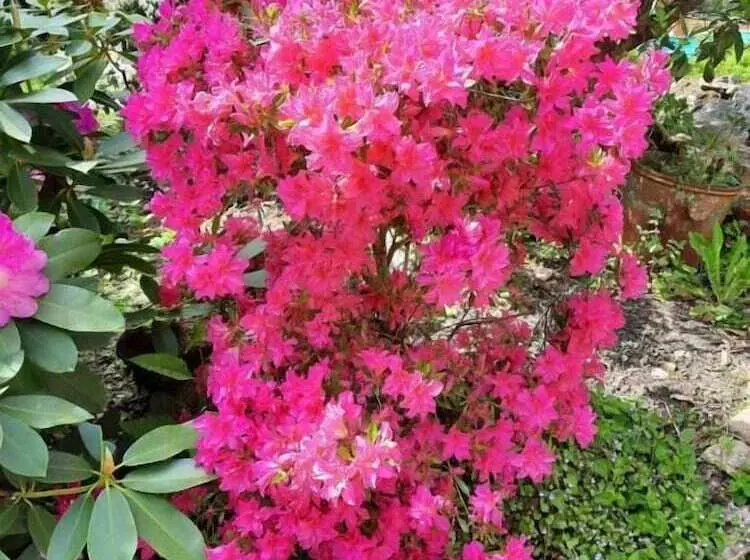 ホテル Le Manoir De La Barbacane