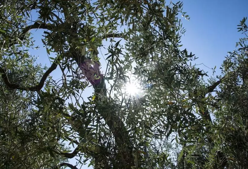 Hotelli Tenuta San Lodovico