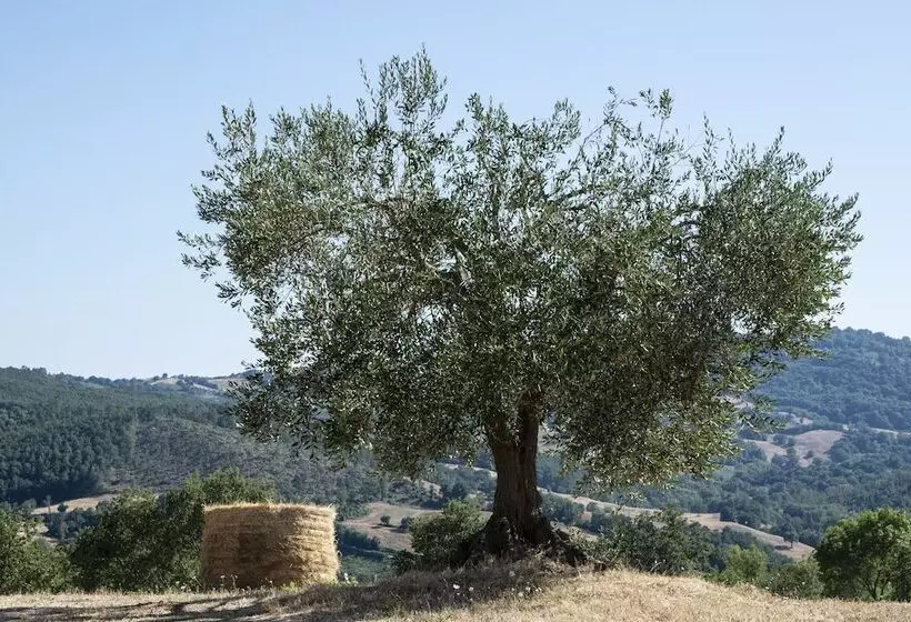 Hotelli Tenuta San Lodovico