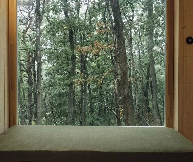 ホテル Youza Ecolodge