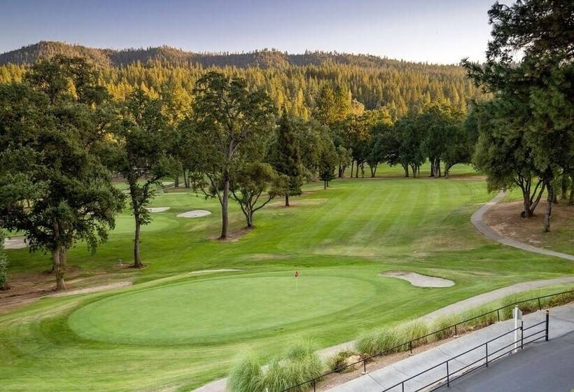 Aubrey S Nest   You Are Welcome At Aubrey S Nest Gas Firepit And Hammock Included By Redawning