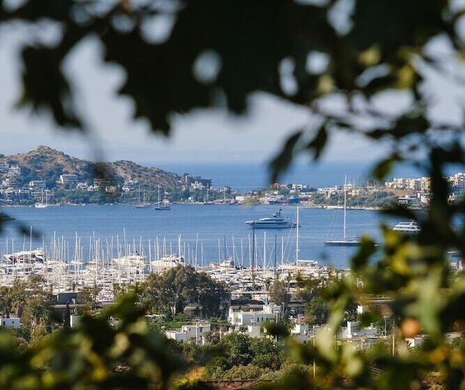 مبيت وإفطار Birdcage 33 Hotel   Adult Only