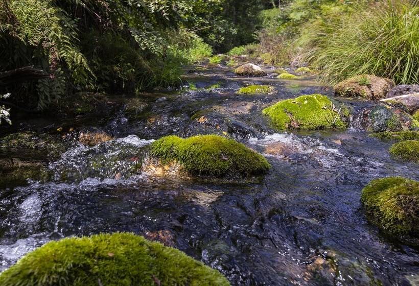 Remarkable 1 Bed Cottage In Arcos De Valdevez