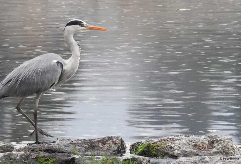 Remarkable 1 Bed Cottage In Arcos De Valdevez