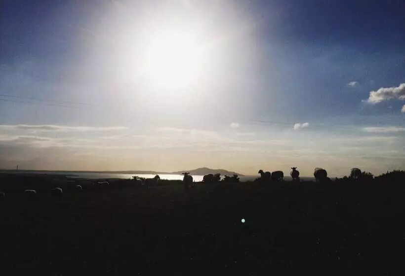 ホテル 13  Zaniah  Bell Tent Glamping Anglesey