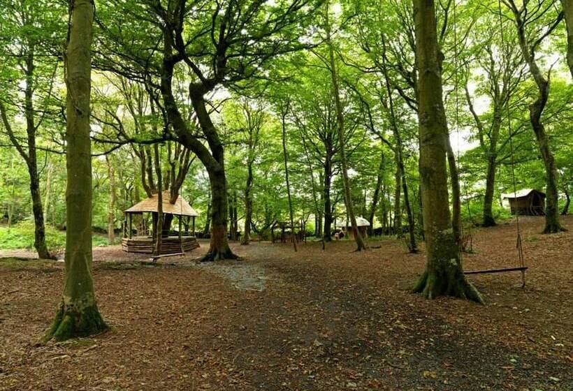 호텔 13 Zaniah Bell Tent Glamping Anglesey