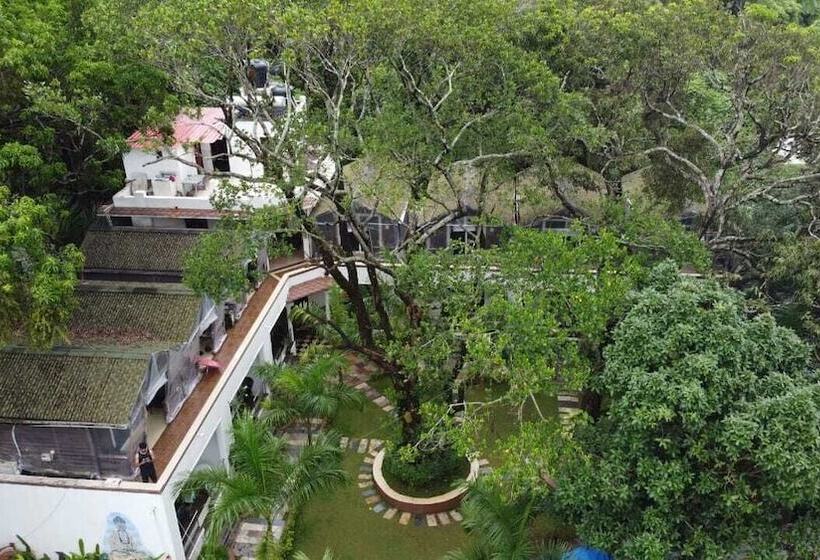 בית מלון כפרי Jp Resort