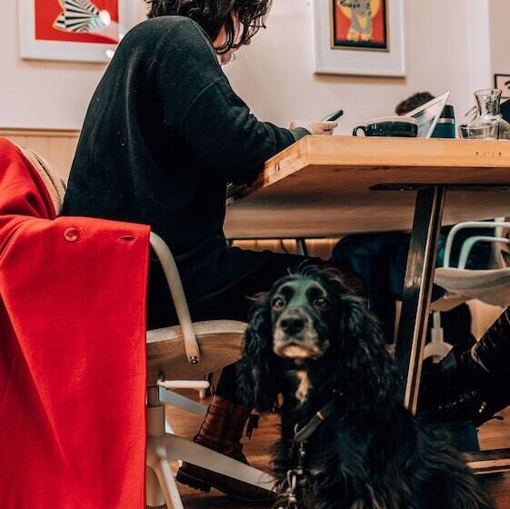 فندق Selina Margate