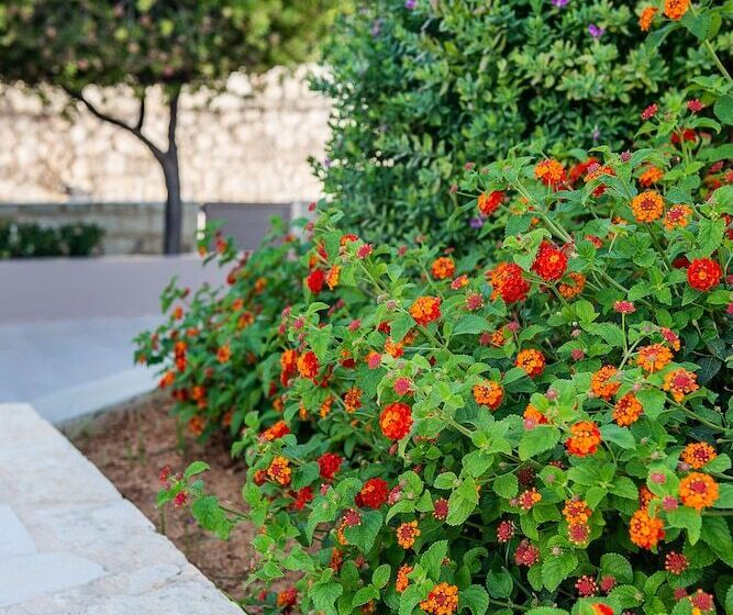 هتل Stellina Village