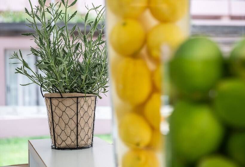 هتل Stellina Village