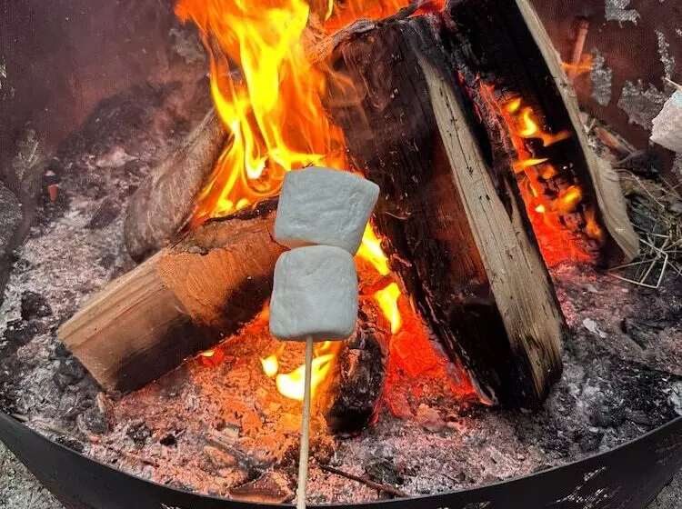 Raines Resort Cabins & Rv