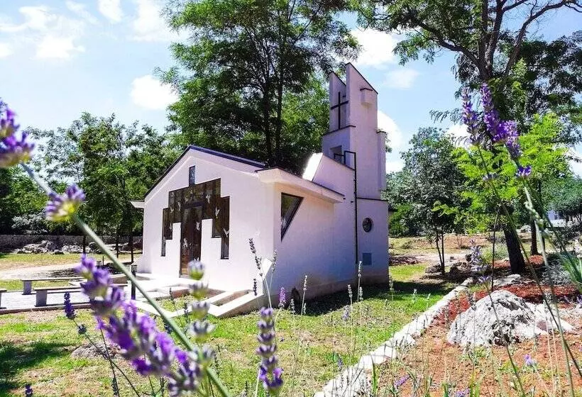 تختخواب و صبحانه Forest Village Resort