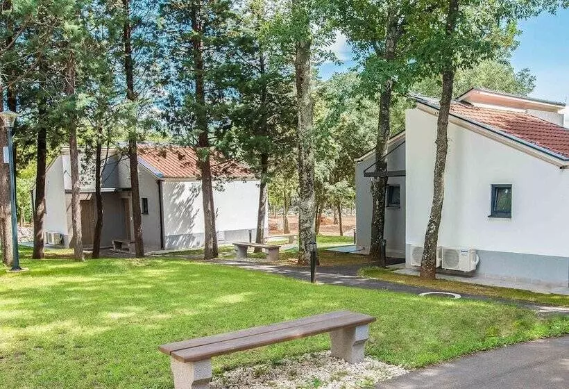 تختخواب و صبحانه Forest Village Resort