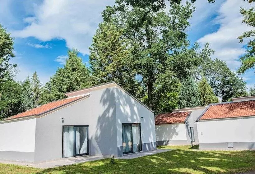 تختخواب و صبحانه Forest Village Resort