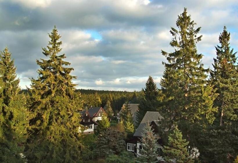 Berghotel Friedrichshöhe