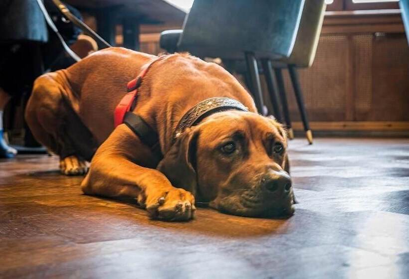 Berghotel Friedrichshöhe