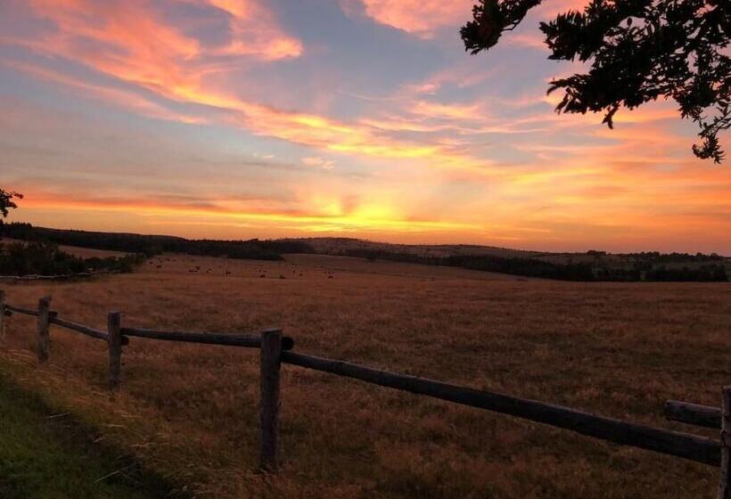 Berghotel Friedrichshöhe