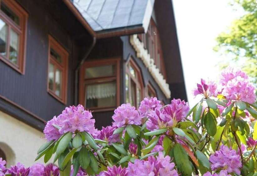 Berghotel Friedrichshöhe