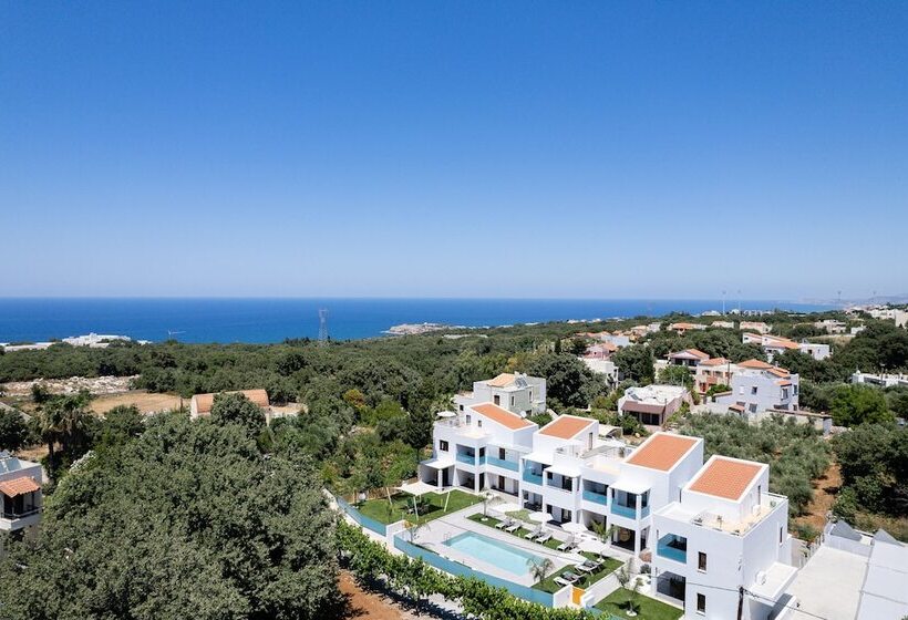 Coconut Palm Paradise