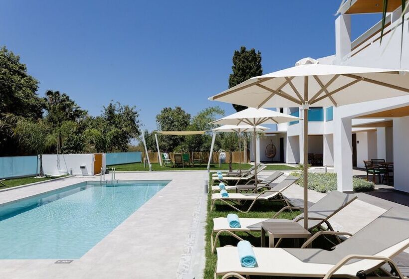 Coconut Palm Paradise