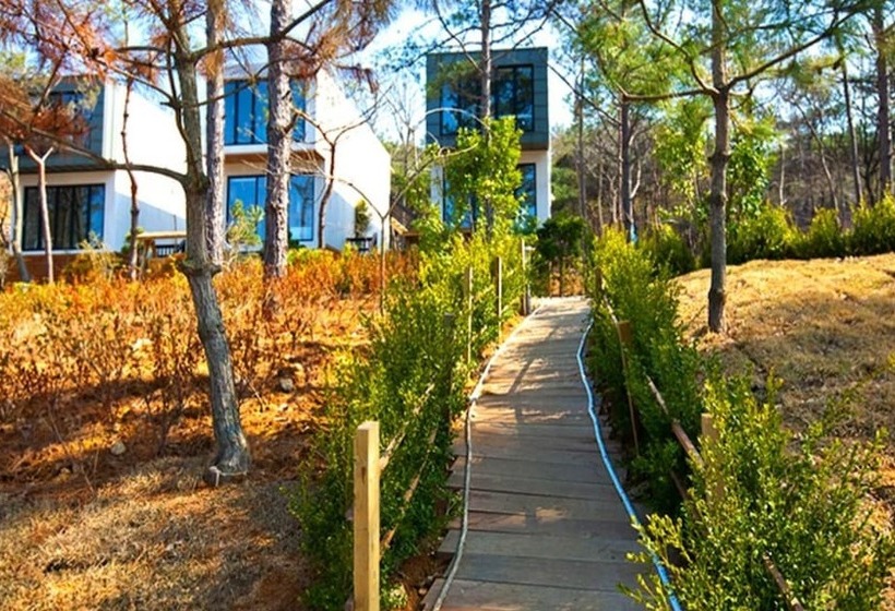 Daebudo Grove Resort Pension