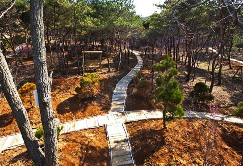 Daebudo Grove Resort Pension