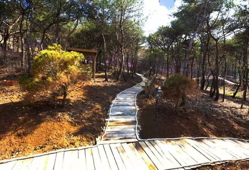 Daebudo Grove Resort Pension