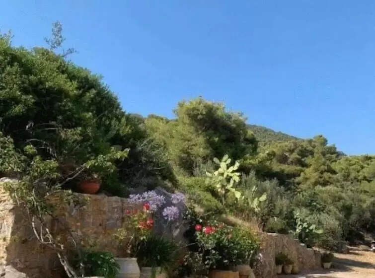 Fedra Apartments