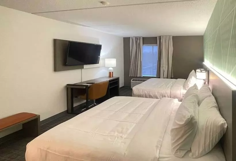 ホテル Comfort Inn & Suites