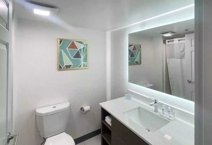 ホテル Comfort Inn & Suites