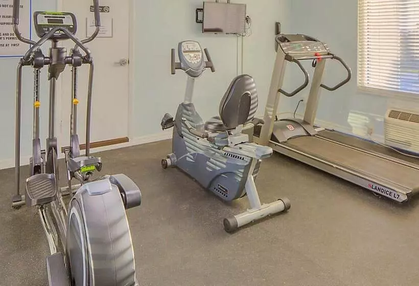 ホテル Dolphin Beach Club