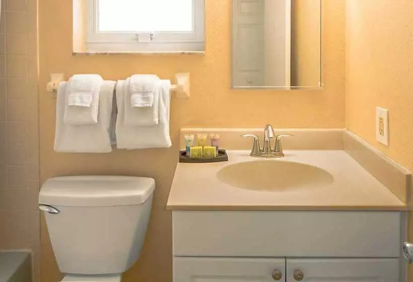 ホテル Dolphin Beach Club