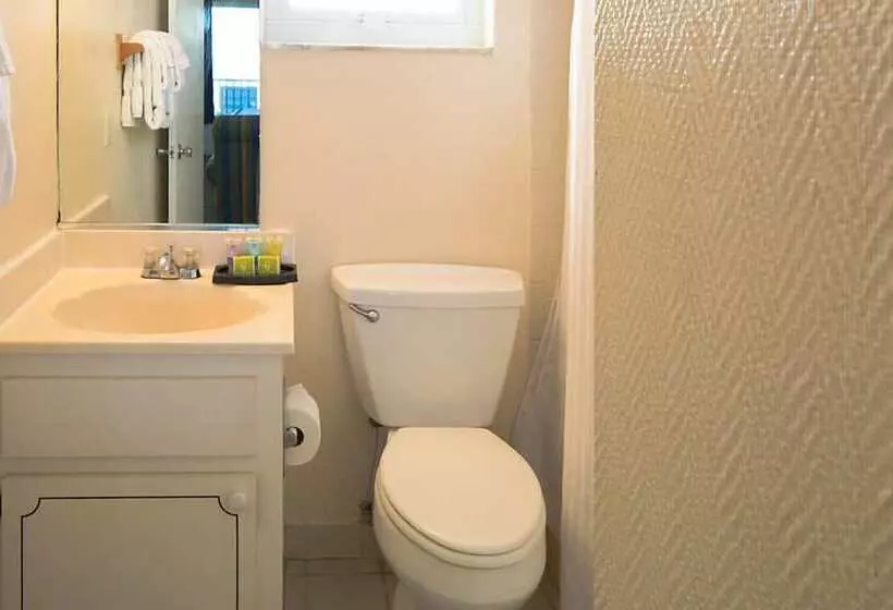 ホテル Dolphin Beach Club