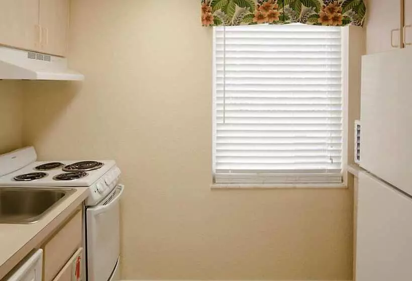 ホテル Dolphin Beach Club